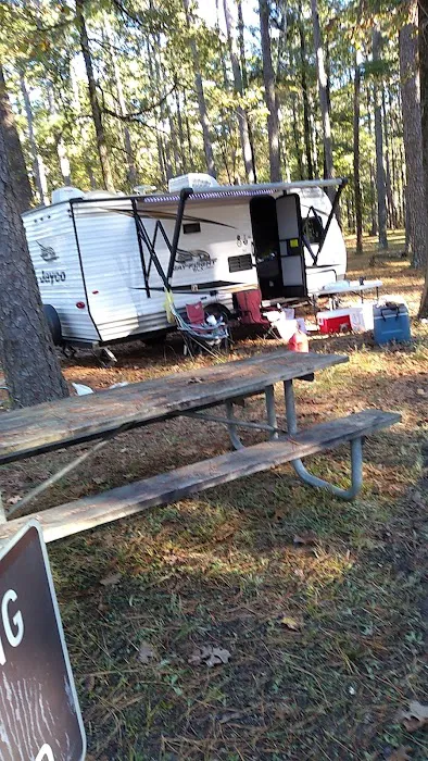 Bucktail Camp, Kisatche National Forest 3