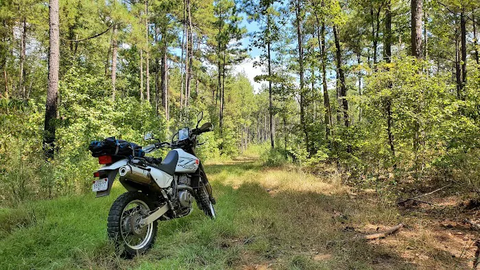 TurkeyTrot Campground 7
