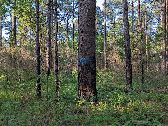 TurkeyTrot Campground 5