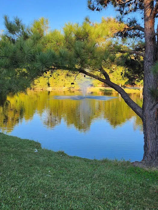 Magnolia RV Park 8