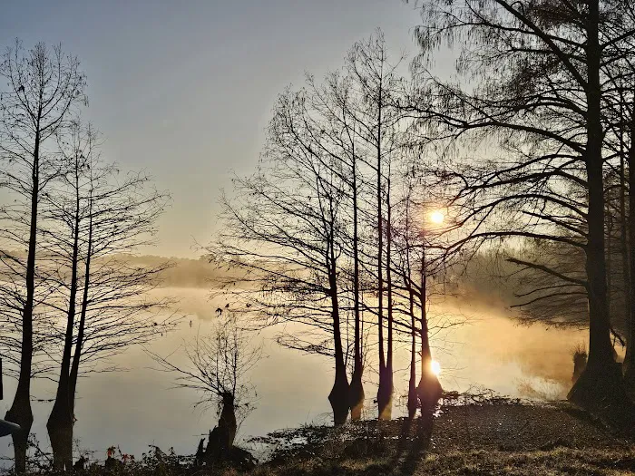 Corney Lake Campground 1