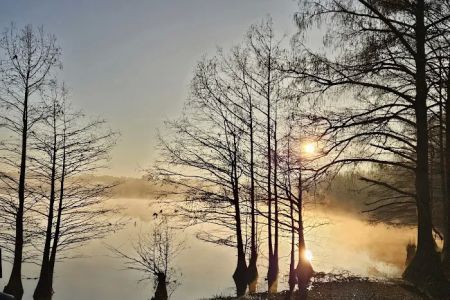 Corney Lake Campground
