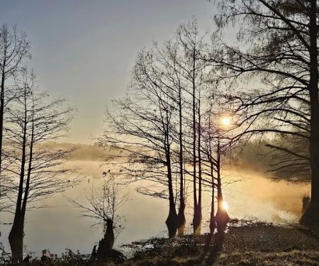 Corney Lake Campground