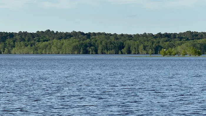 Corney Lake Campground 4