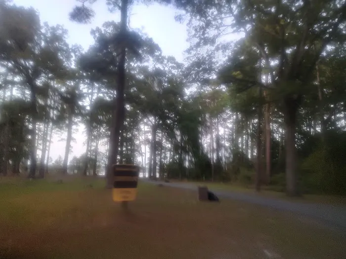 Corney Lake Campground 9