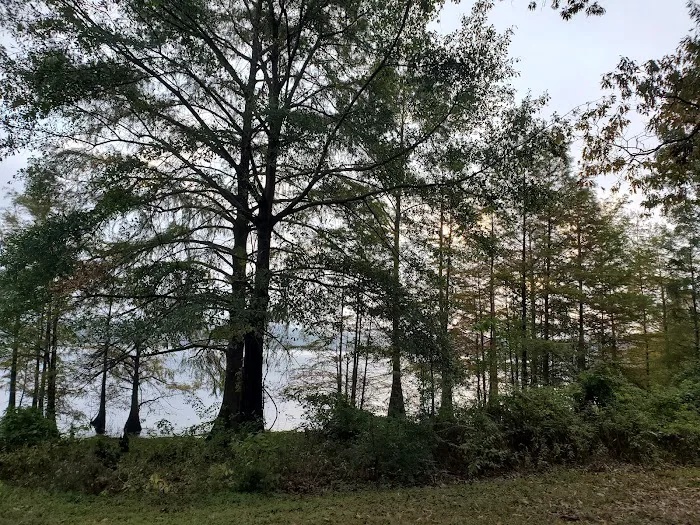 Corney Lake Campground 10