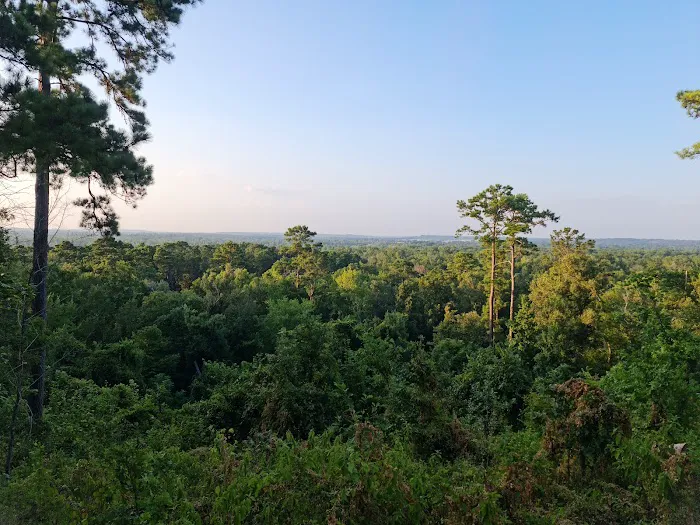 Neches Bluff Campground 4