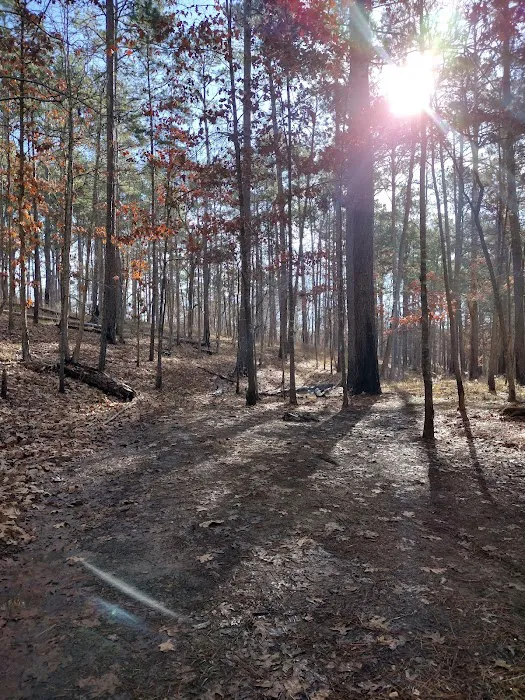 Neches Bluff Campground 9