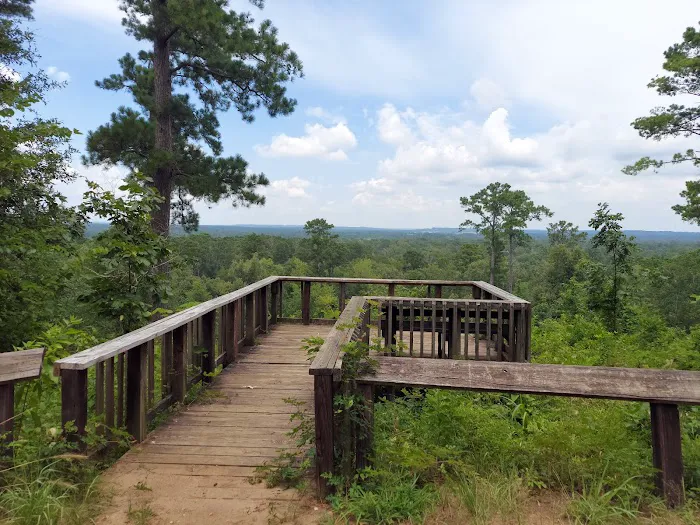 Neches Bluff Campground 8