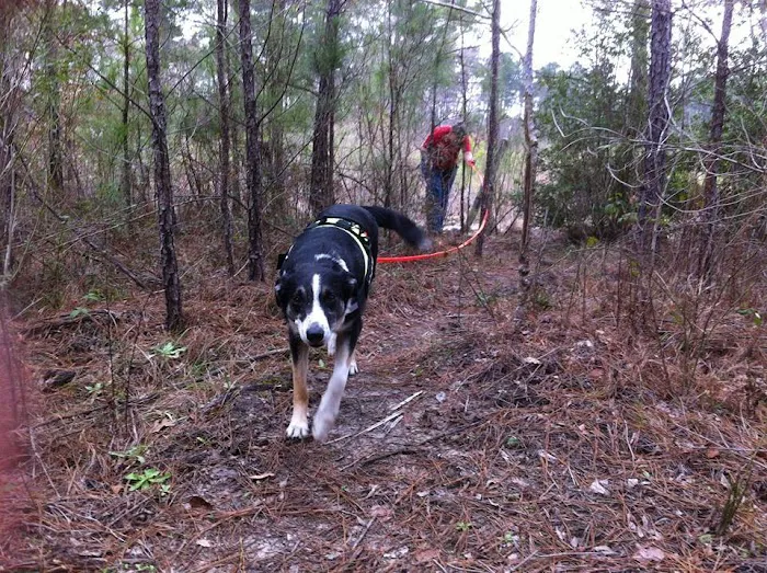 Neches Bluff Campground 1