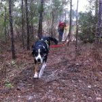 Neches Bluff Campground