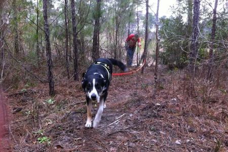 Neches Bluff Campground