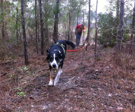 Neches Bluff Campground