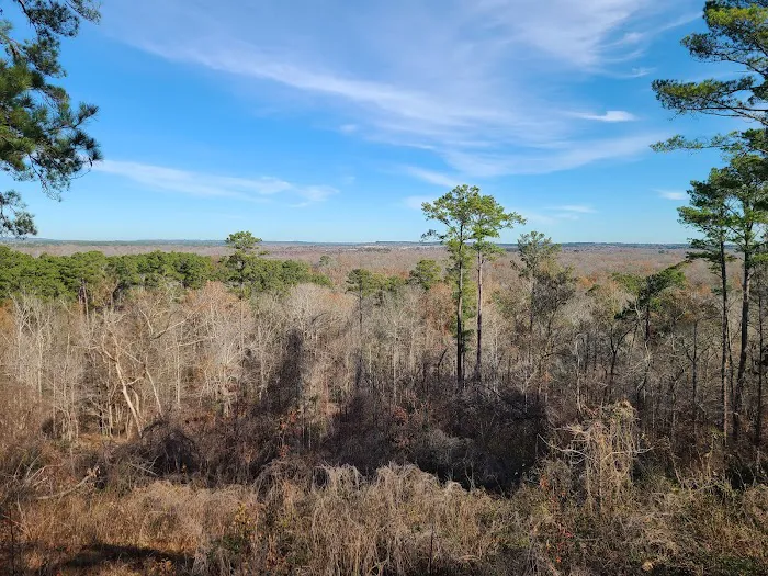 Neches Bluff Campground 5