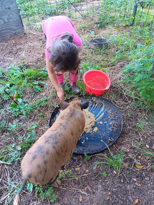 Trails End Hobby Farm and Handy Man Service 5
