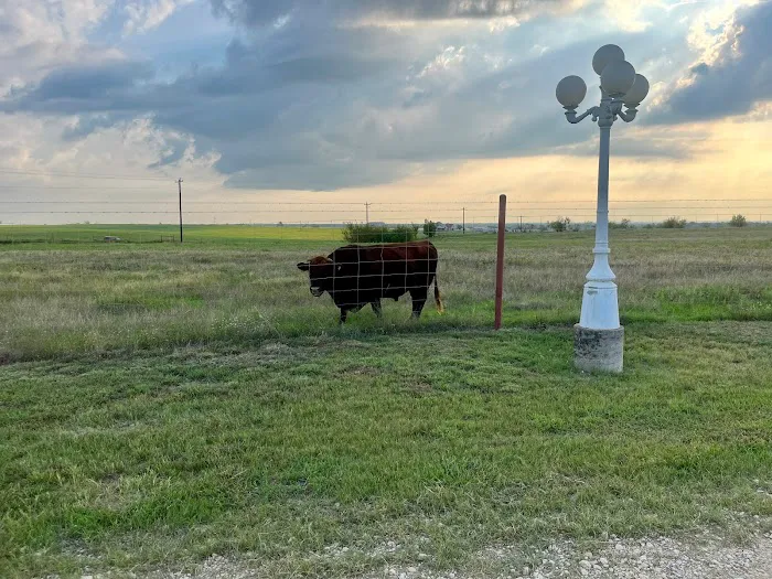 LoneStar Station RV Ranch & Studios 8