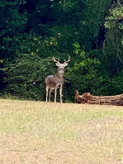 Camp David at Lake Grapevine - HIKIDS Nonprofit Campground 6
