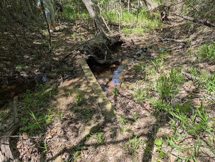 Camp Burnett 8