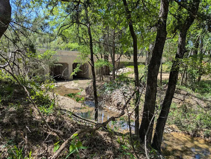 Camp Burnett 7