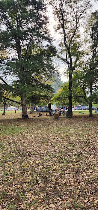 Camp Burnett 5