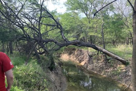 Camp Burnett