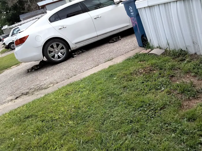 Pecan Lake Mobile Home Park 9