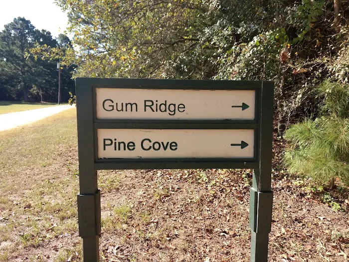 Gum Ridge Camp Site 3