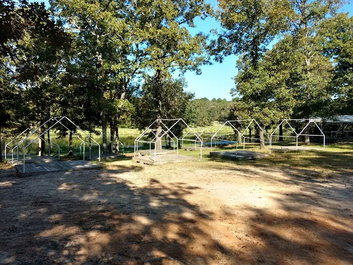Gum Ridge Camp Site 6