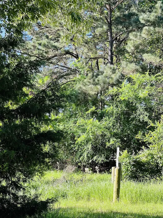 Dogwood Ridge Camp Site 2