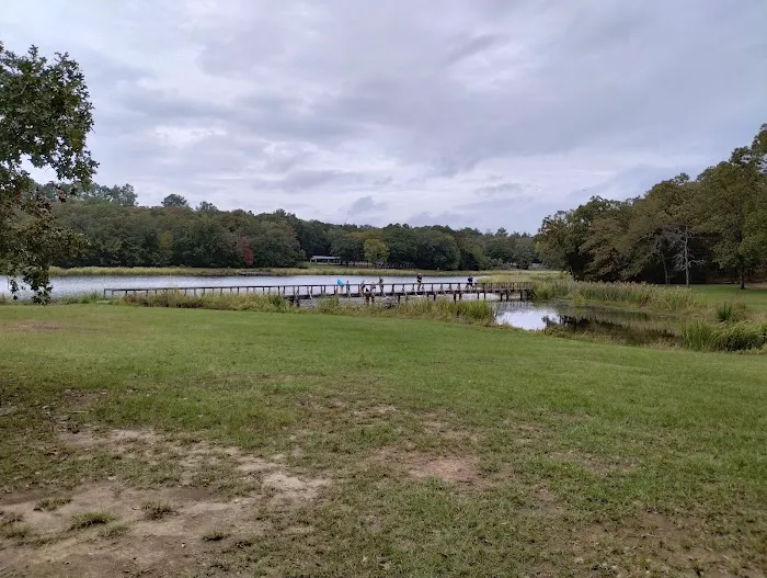Cypress Knee Camp Site 3
