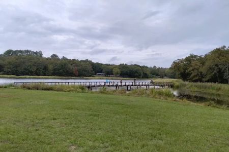 Cypress Knee Camp Site