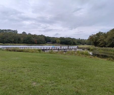 Cypress Knee Camp Site