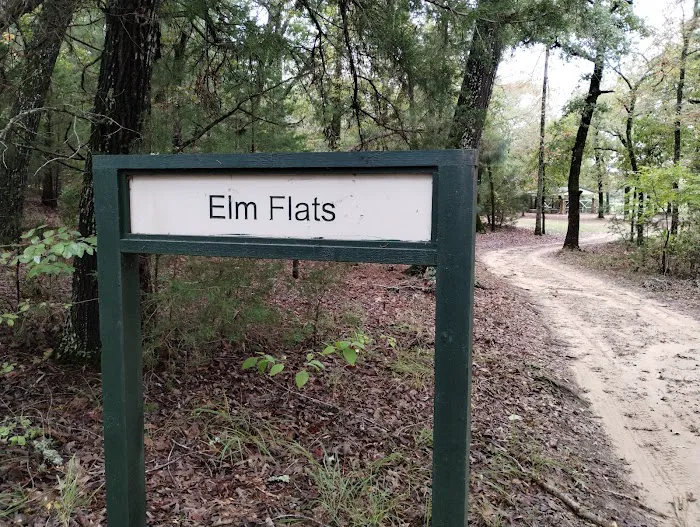 Elm Flats Camp Site 6