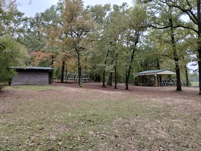 Elm Flats Camp Site 5