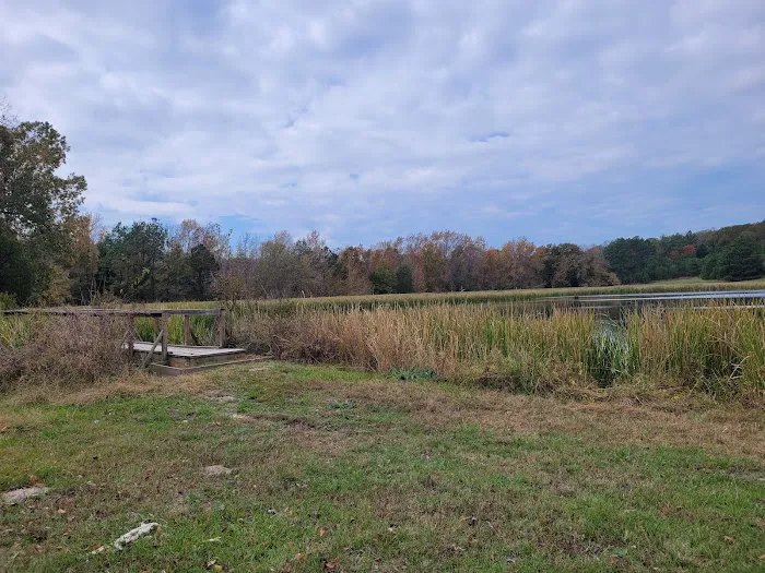 Post Oak Point Camp Site 4