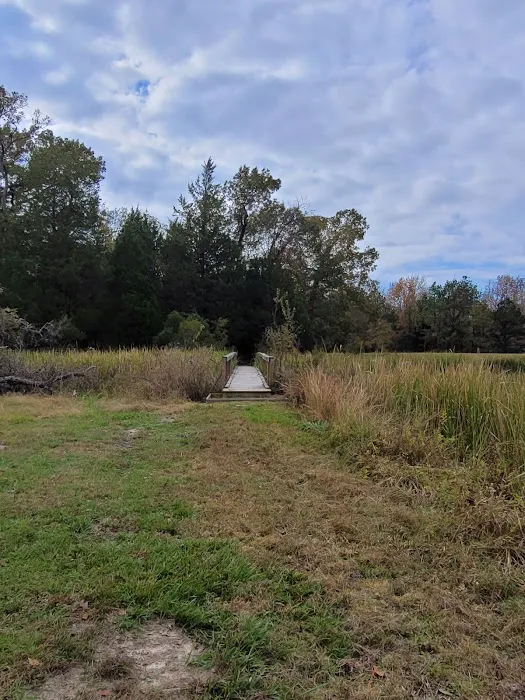 Post Oak Point Camp Site 8