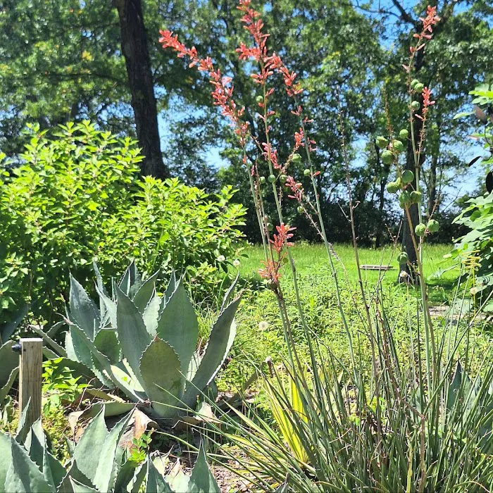 Lonestar RV Park 9
