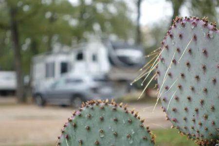 Lonestar RV Park