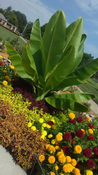 SUNRISE VILLAGE 5