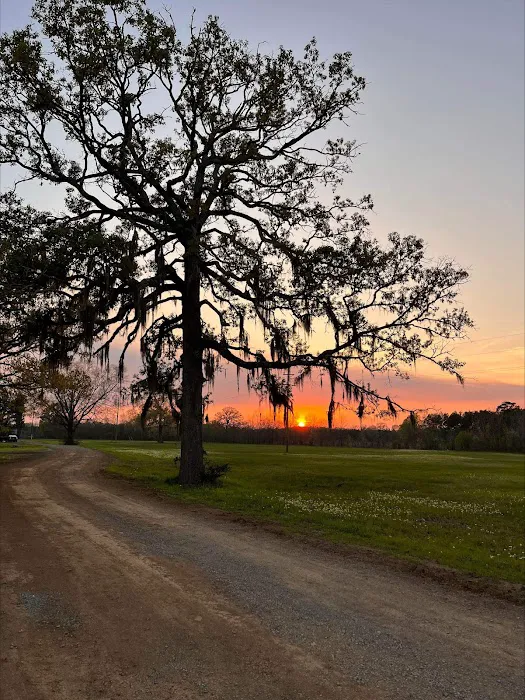 Lakeview Mobile Home and RV park 9
