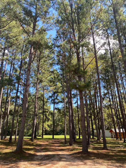 Nestled Pines RV Park 7