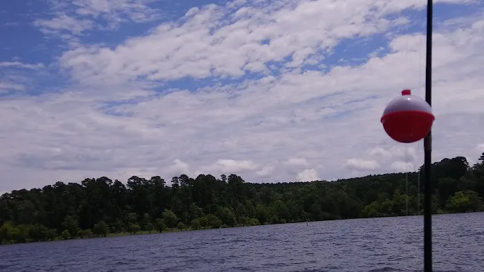 Shirley Creek Campground 2