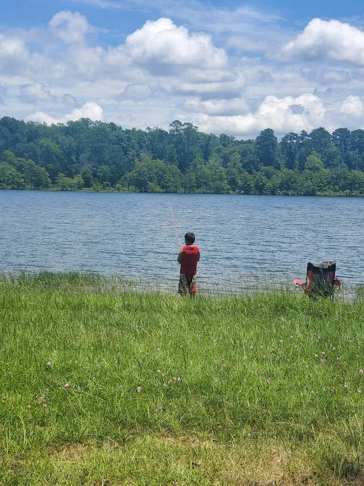 Shirley Creek Campground 10
