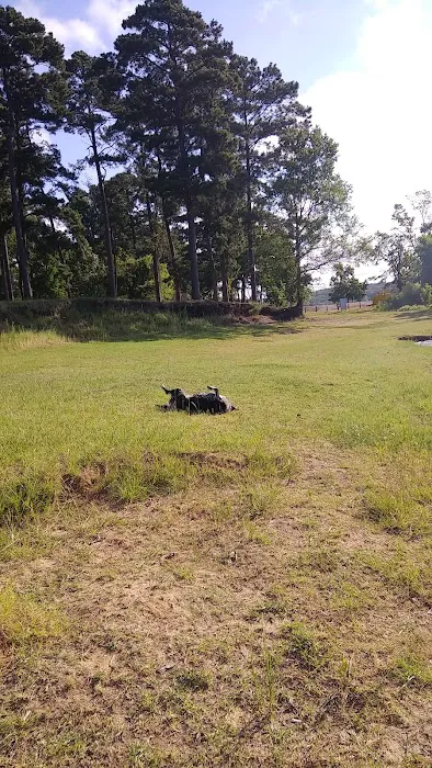 Shirley Creek Campground 6