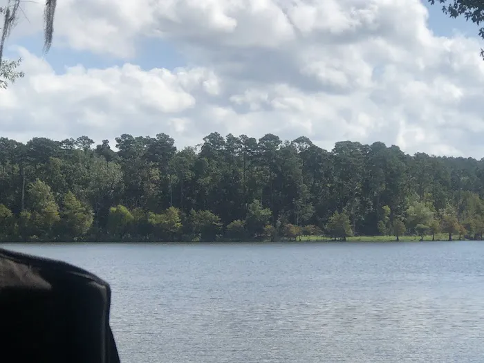 Shirley Creek Campground 5