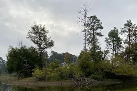 Campsite #35