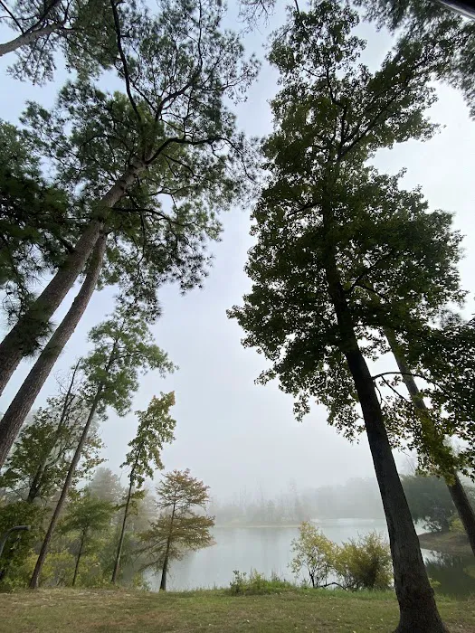 Campsite #35 2