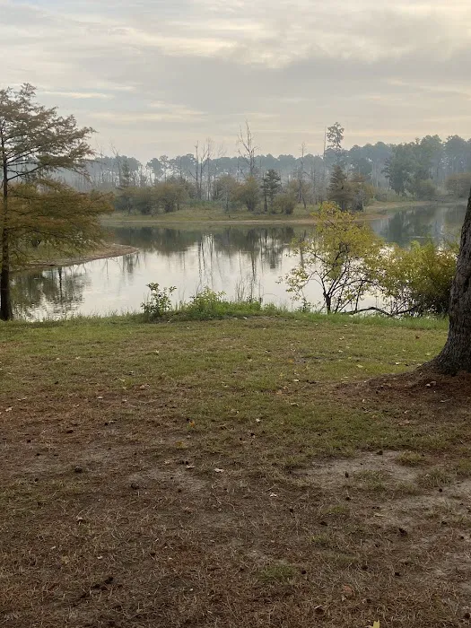 Campsite #35 8