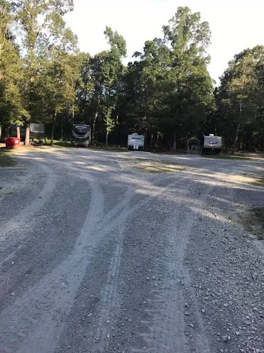 Bullfrogs & Butterflies RV Park 3