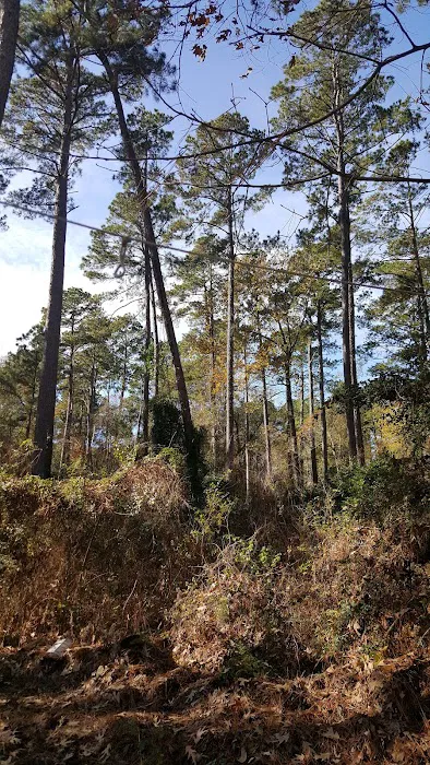 Bullfrogs & Butterflies RV Park 1